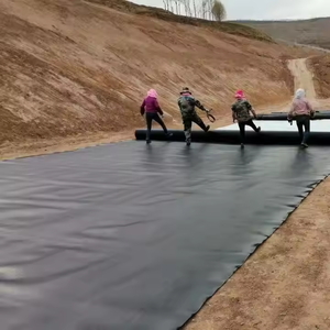 0,5mm 1mm Spirulina Farming Pool Lagune HDPE Teich folie 45 Mil 60 Mil Industrielle Abwasser teiche Gebrauchte Geo membran für Fischteich - Product Image 6