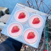 Vente en gros d'usine, boîte en plastique épaisse, qualité alimentaire, personnalisable, ronde, pour dessert, pudding, gâteau, mousse, coupe, sciure de bois
