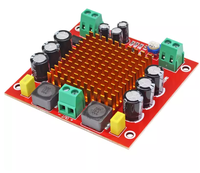 Carte d'amplificateur de puissance numérique monocanal haute performance TPA3116D2 150W avec module d'amplification audio 12V et 24V