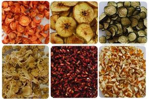 Hot Selling <strong>Fruit</strong> <strong>Rollup</strong> Machine Dryer - Product Image 6