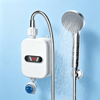 Chauffe-eau électrique mural instantané en acier inoxydable, commande manuelle, 110V, petit format, sans réservoir, chauffage rapide, pour hôtel et voiture