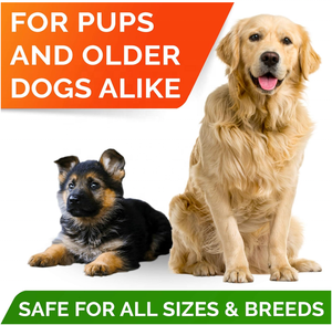 OEM/ODM kapsul minyak ikan Omega 3 dengan asam lemak EPA + DHA untuk anjing mengurangi penumpahan & gatal-mendukung sendi & otak & hati - Product Image 3