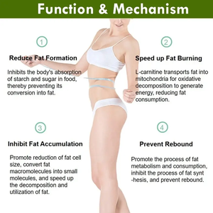 Capsules d'extrait de thé vert OEM/ODM : Soutien à la combustion des graisses, régulation de l'immunité, lipides sanguins et santé cardiovasculaire - Product Image 6