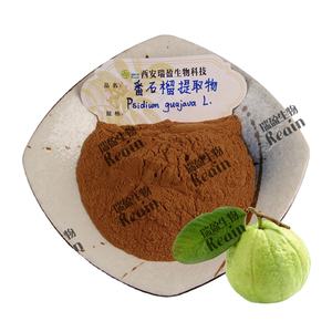 สารสกัดจากใบ <span class=keywords><strong>Psidium</strong></span> Guajave Guava,<span class=keywords><strong>Psidium</strong></span> <span class=keywords><strong>Guajava</strong></span> ผงสารสกัดจาก <span class=keywords><strong>Psidium</strong></span> <span class=keywords><strong>Guajava</strong></span> - Product Image 1