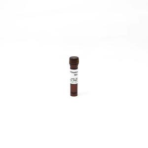 Набор EZ DNA Methylation-Gold для надежного бисульфитного конвертации в исследованиях рака и эпигенетики - Product Image 4