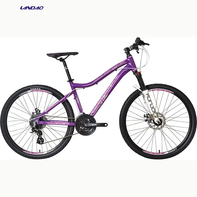 2020 Landao bike 240 hot selling brand new model stylish design with cool look Alcrown lockable fork joy tech hub