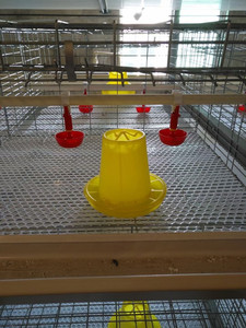 Equipo Avícola, Comedero para Pollos y Patos, Material para Barriles, Bebedero, Fregadero para Jaulas y Cría al Aire Libre - Product Image 4