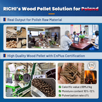 Ligne de fabrication de granulés de bois RICHI ATEX Polant, usine de granulés de biomasse multifonctionnelle de grande capacité 2-3t/h pour les déchets de bois polonais
