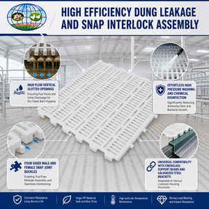<span class=keywords><strong>Prix</strong></span> d'usine : Équipement d'élevage de bétail – Planchers en plastique à lattes pour porcelets et volailles en PP - Product Image 4
