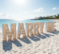 Lettres lumineuses géantes LED « Marry Me » pour proposition de mariage romantique en extérieur, décoration de toile de fond pour fête de mariage, vente en gros