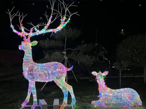Ngoài Trời Trắng Giáng Sinh Kích Thước Tuần Lộc Sang Trọng Ánh Sáng Kỳ Nghỉ Hiển Thị Hot Bán Trang Trí Ưa Thích Đuôi Nhà Lớn Nguồn Cung Cấp Hươu - Product Image 5