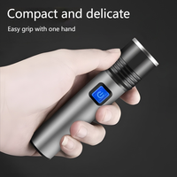 Lampe torche LED UV rechargeable USB (395 nm) avec zoom, corps en ABS, étanche IP54, faisceau réglable, outil de détection pour le teigne chez le chat