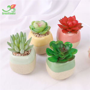 <span class=keywords><strong>Piante</strong></span> <span class=keywords><strong>grasse</strong></span> artificiali <span class=keywords><strong>in</strong></span> vasi fioriera <span class=keywords><strong>in</strong></span> ceramica piccola Mini decorazione per <span class=keywords><strong>piante</strong></span> per la casa - Product Image 2