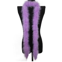 40g Echarpe violette arc-en-ciel Dinde Marabout Plume Boa pour Femmes Home Party Xmas Decor Clothing Costume Dance Dress Accecssoy