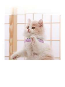 Kangdarpet-Bufanda de gato tejida a mano con diseño de estambre púrpura-amarillo y amarillo-verde-accesorios para mascotas para invierno - Product Image 5