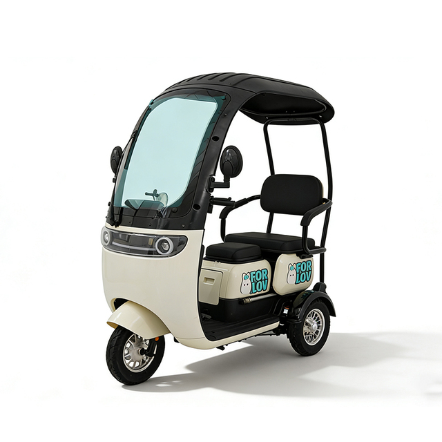 600W-1000W Electric Tricycles 3 Wheel Electric Cargo Bike Household Small Scooter Two-seat Roof Electric Tricycles