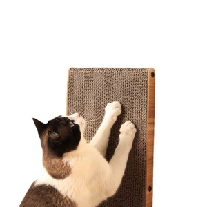 L - Product Image 4