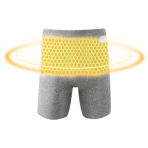 Period Pain Relief Underwear Heated Thickening Knickers Antibacterial Graphene Underwear Knickers with Temperature Controller - Product Image 1