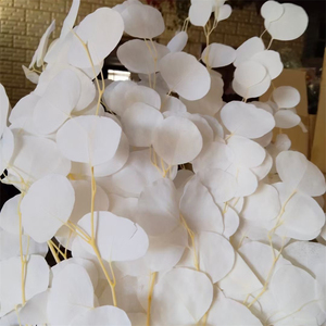 Feuilles d'<span class=keywords><strong>eucalyptus</strong></span> séchées et blanchies naturellement, branches d'<span class=keywords><strong>eucalyptus</strong></span> séchées et préservées au toucher réel, <span class=keywords><strong>guirlande</strong></span> d'<span class=keywords><strong>eucalyptus</strong></span> verte - Product Image 5