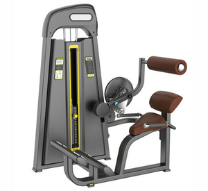 Attrezzatura Fitness a Prezzo di Fabbrica per Casa e Palestra Commerciale, Macchina per Estensione <span class=keywords><strong>Schiena</strong></span>, Rafforza i <span class=keywords><strong>Muscoli</strong></span> Lombari e della <span class=keywords><strong>Schiena</strong></span>, Migliora la Postura - Product Image 5