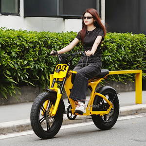 750W 48V <strong>Bicycle</strong> for Men 48v <strong>Bicycle</strong> for Girls <strong>Bicycle</strong> for Women - Product Image 1