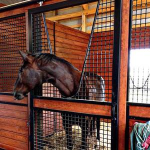 Box per <span class=keywords><strong>Cavalli</strong></span> di Lusso Europei Stalle Temporanee Portatili per <span class=keywords><strong>Cavalli</strong></span> di Buona Qualità <span class=keywords><strong>in</strong></span> Canada - Product Image 6