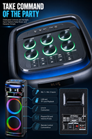 EN STOCK Enceinte de karaoké 12 pouces 100-300W avec tweeter 100W, deux microphones sans fil VHF et télécommande