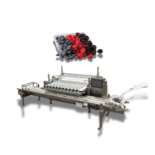 Fast Electric Automatic Water Resistant Blueberry Grading Machine PLC Pump Motor for High Productivity Precision Weighing Export