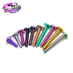 Moto en titane Tmj alliage de titane tête de disque vis Torx Modification de moto M4/M5 ventes directes d'usine - Product Image 2