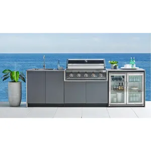 Professional Bbq Stainless Steel Gas Bbq Grill Garden Kitchen Cabinet Bbq Island For Outdoor And Indoor