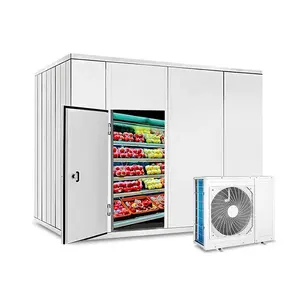 Fish Cold Storage Room Freezer Refrigerator Frozen Cold Room Equipment