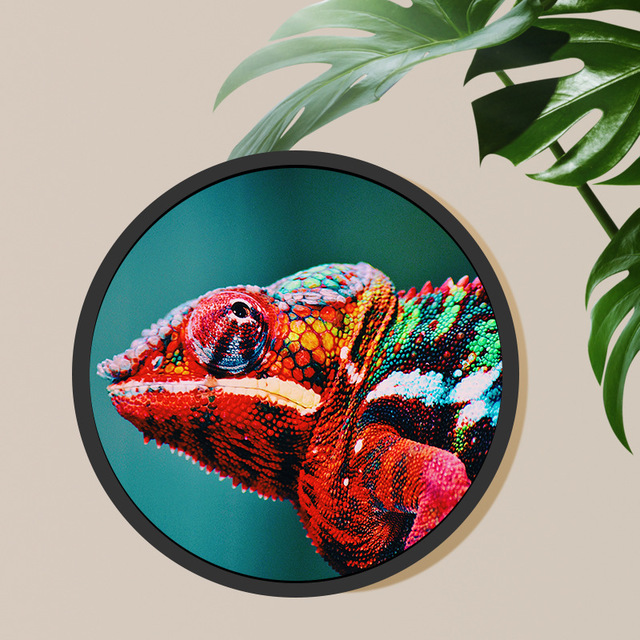 3.6/4/5/23.6 Inch Custom Round Lcd Advertising Media Display Circular TV Screen Billboard Display with PCAP Touch Android RK3566