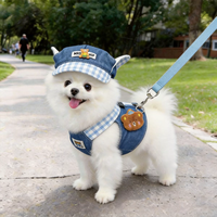 Nylon-Hundeleine und -Geschirr-Set aus Denim mit Kapuze und Gingham-Karo-Sommerkleidung für kleine Hunde und Katzen – Outdoor-Kleidung