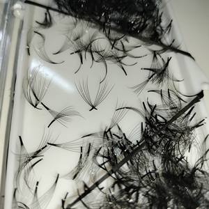 OEM 4D-16D Camelia Extensions de Cils Individuels Nouveau Soft Vietnam Vente en gros Personnalisé Noir Sexy Mix DD Beauty Extensions de Cils - Product Image 6