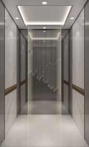 Ascenseur OTIS, usine d'ascenseurs, ajout d'un ascenseur pour les bâtiments anciens, maisons auto-construites, ascenseur résidentiel, ascenseur domestique - Product Image 5