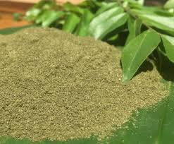 ผงแกงกะหรี่เกรดอาหารคุณภาพสูงสกัดจากใบกะหรี่ murraya koenigii koenigii patta หวานใบนีม kari patta ราคาดี-ซื้อเลย! - Product Image 6