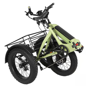Joyebikes Triciclo Elettrico Cargo 20 Pollici 500W 750W, Bicicletta Elettrica a 3 Ruote con Pneumatici Fat, E-Trike da Montagna - Product Image 5