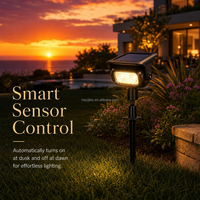 2 lampes solaires pour pelouse, RGB, blanc chaud, blanc froid, étanches IP55, haute luminosité, lampe de jardin LED, capteur de lumière, éclairage à distance