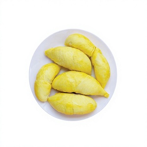 Durian Congelado Premium Hecho con Frutas Frescas Seleccionadas para Venta al por Mayor, Marca Privada y Mercados de Exportación Globales - Product Image 1