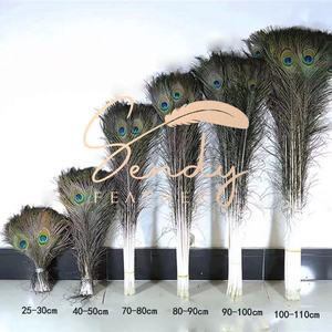 90-100cm natürliche Pfauenfeder Schwanz indische Federn Karneval Zubehör Handwerk Feder Kostüm Tanz Festival Bühnen performance - Product Image 4