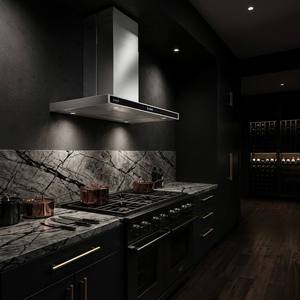 Prix de gros <span class=keywords><strong>Hotte</strong></span> de cuisine intelligente en forme de T <span class=keywords><strong>Hotte</strong></span> de cuisine <span class=keywords><strong>suspendue</strong></span> à levage d'îlot de plafond à haute puissance pour hôtels et ménages - Product Image 3