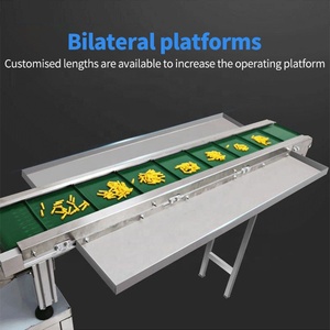 Venta Directa de Fábrica: Línea de Procesamiento para Granos, Snacks y Gránulos en Bolsas/Sachets, Cinta Transportadora Horizontal Plana de Acero Inoxidable y PVC - Product Image 4