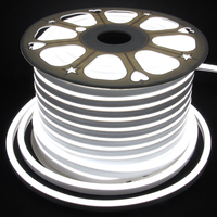 Ruban LED Néon RGBIC Numérique Adressable 110V 220V de Qualité Industrielle, Bobine de 50m, IP65 PVC pour Projet de Contournement de Bâtiments Municipaux