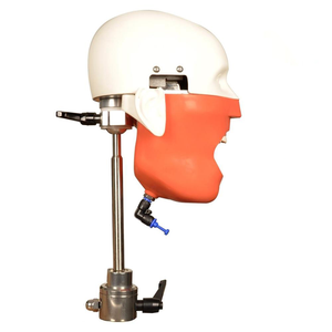 Modello di Testa Dentale Sciedu, Simulatore Manikin per Odontoiatria, Attrezzatura per Studenti di Odontoiatria - Product Image 3