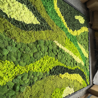 Panel de Arte Artificial Personalizado con Musgo Natural, Decoración de Pared para Hogar, Hotel, Jardín