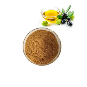 Penjualan Terbaik bubuk ekstrak daun zaitun polifenol tinggi 98% hidroksityrosol jumlah besar bubuk ekstrak daun zaitun - Product Image 3