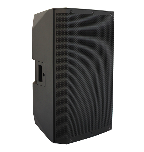 T New Professional 12-Inch Loudspeaker DSP Bluetooth Wireless Big Power 300W Subwoofer Portable Speaker