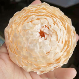 Fiori di Peonia Preservati all'Ingrosso, Fiori a Lunga Durata per Decorazioni e Regali di San Valentino, Capodanno e Natale - Product Image 4