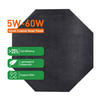 Panneaux solaires ETFE de forme personnalisée, module flexible 10w 20w 50w 80w 100w 18v, cellule solaire monocristalline BC Tandem pour abri et batterie