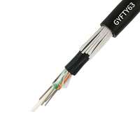 Câble à fibre optique blindé GYFTY53 en acier, 16 fibres, avec élément de renforcement FRP non métallique, G.652D, pour enfouissement direct, IEC 60794